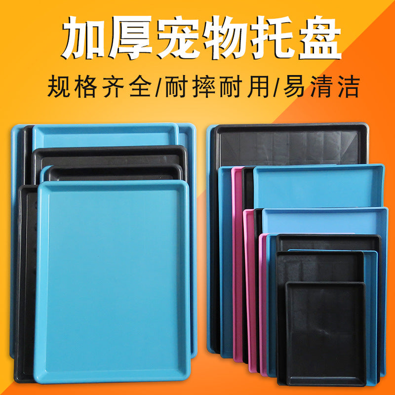 51a9cd2e-be89-4e98-beb1-e27d8d4edd68