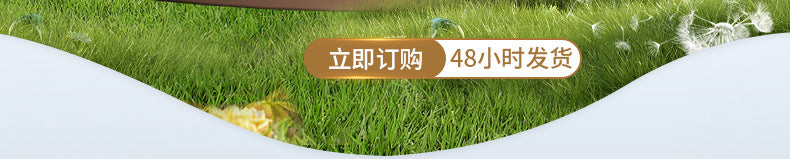 aa7201ff-505c-4d9e-adc0-82d09e282ea9