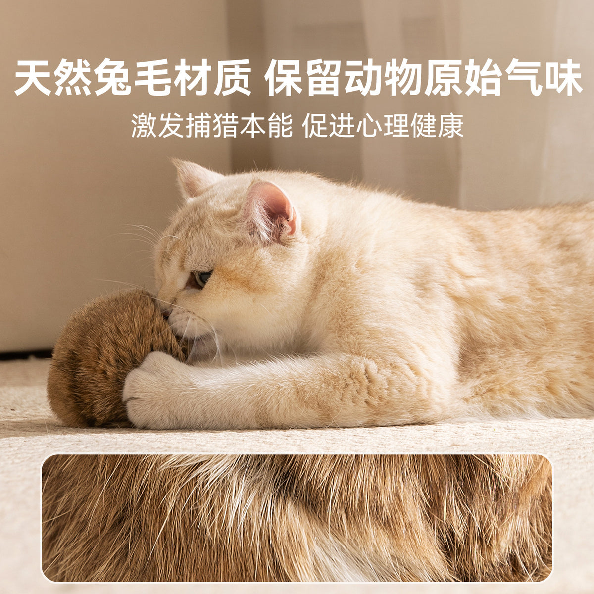 2480c30f-5612-4ae6-95a7-b87e98bbbf2e