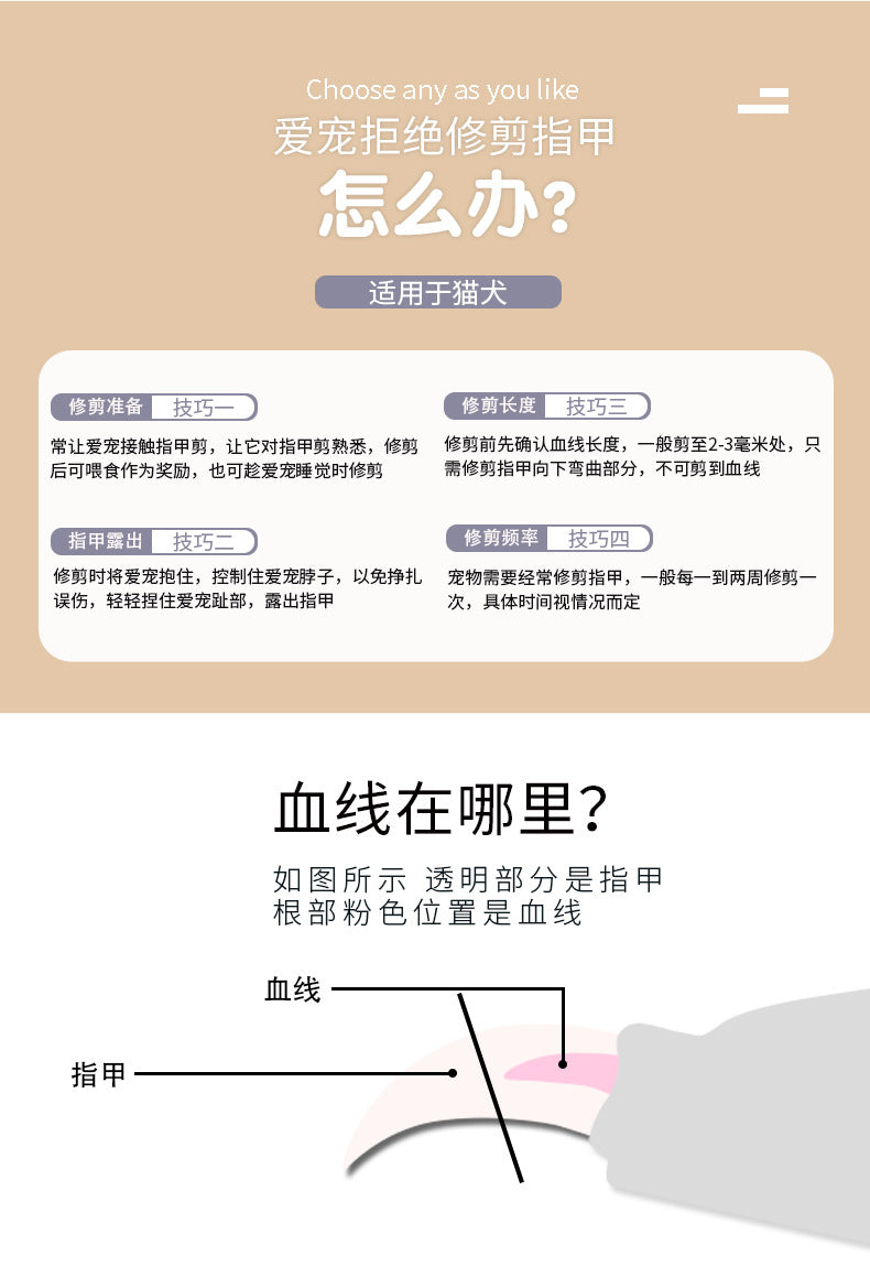 2c62ad49-491b-4bc0-b01a-ccc6d282a506