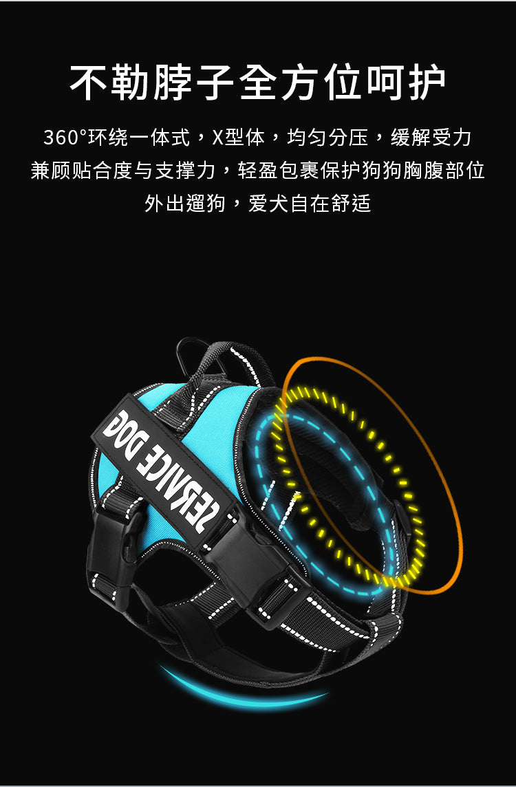 e47e6c8f-4061-4c26-bb67-aa9f08a8104f