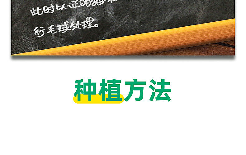 074a0d39-0f5d-41a5-8676-a84668abeaf4