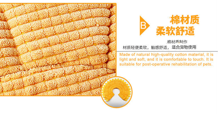 6d50c1fa-e5fd-4e72-8da2-92b8c06b82b5