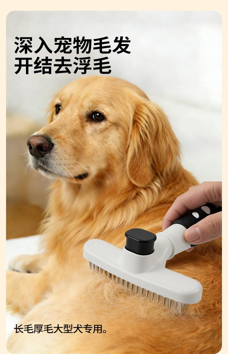 5eda0789-caa4-4029-882a-d600f4cb65f8