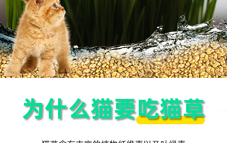 e2fb5426-dd0d-49db-87c9-9899c205a439