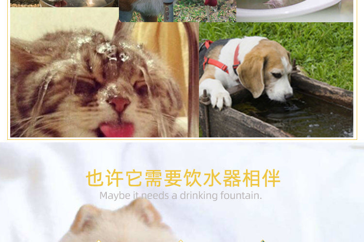d7271743-97db-4543-b69e-46e03551226c