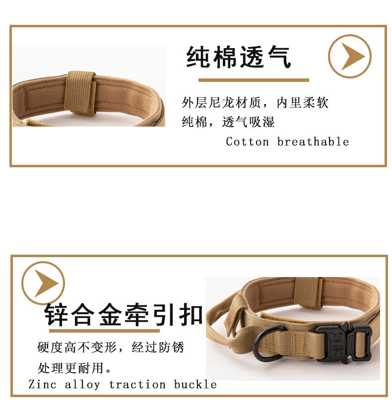 9c5a6b12-be94-404d-8a99-1fe0801f419f