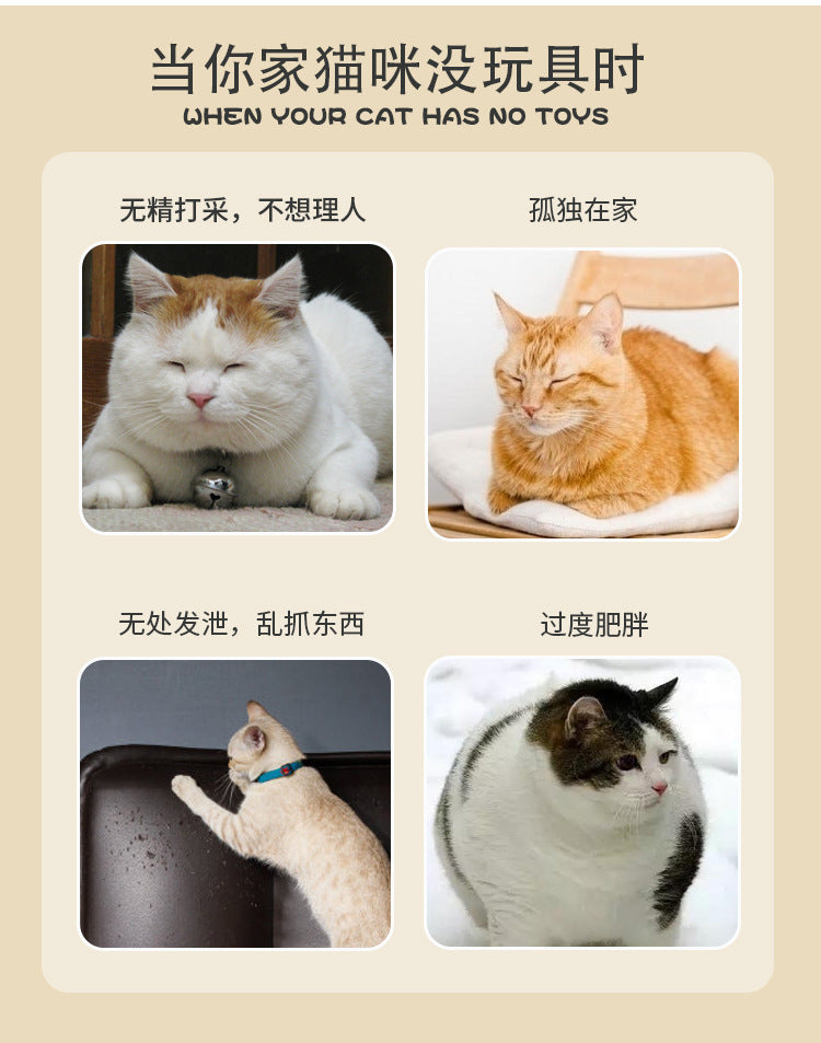 f9bb507e-c47d-4e1d-ab2b-961cf9e0c595