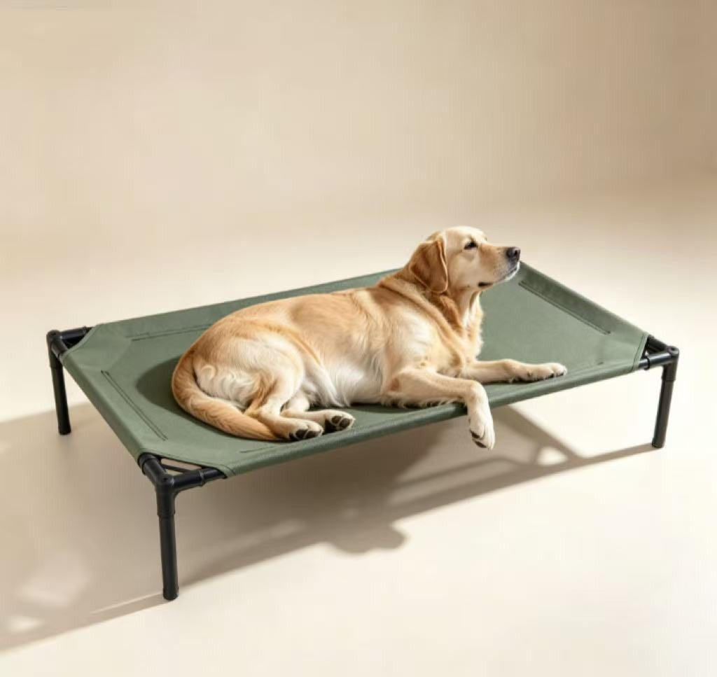 75031145-cb80-493d-a328-31f825f3522e