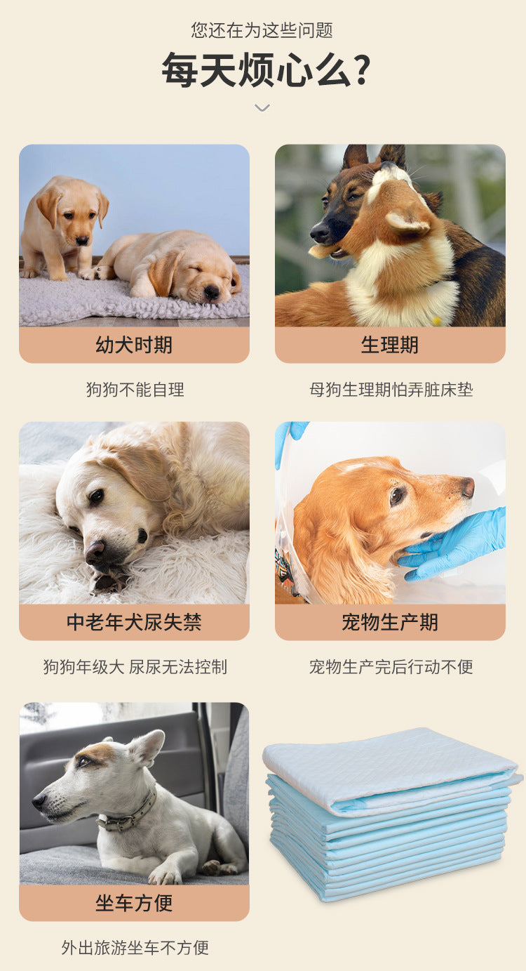 ab3190f3-0497-4a35-b8c1-3c76d724597b