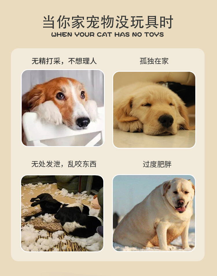 b41b1d3f-bdef-437c-bc13-39b0d26655cf