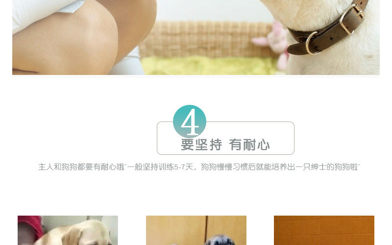 380abae9-8419-4360-a50c-8719c9b63e28