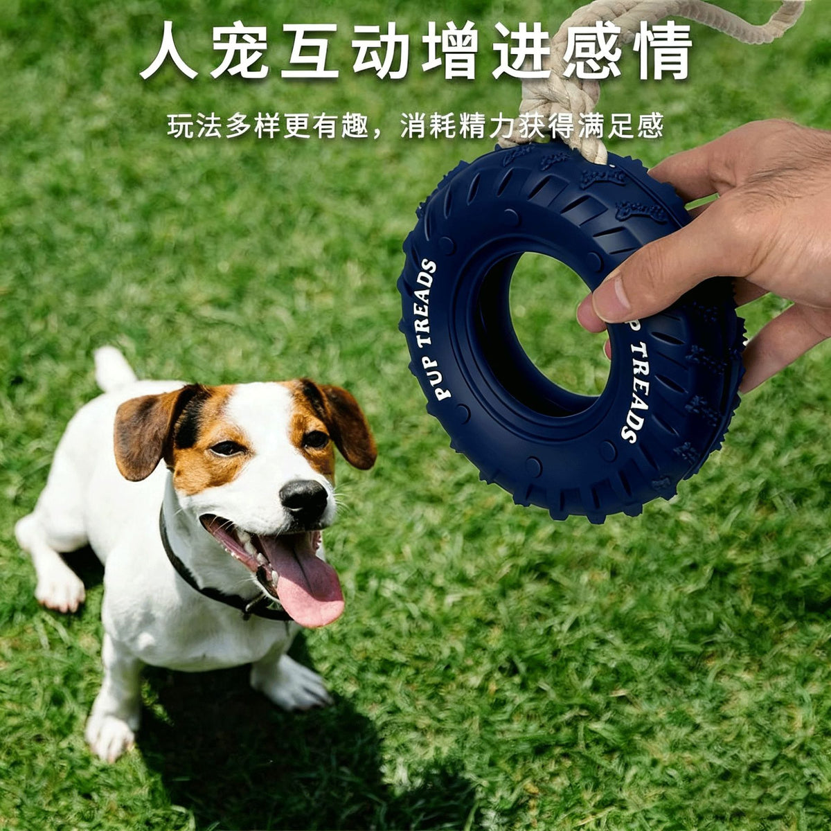 ddc2b9c0-064c-4906-824a-f1ac595d3cb4