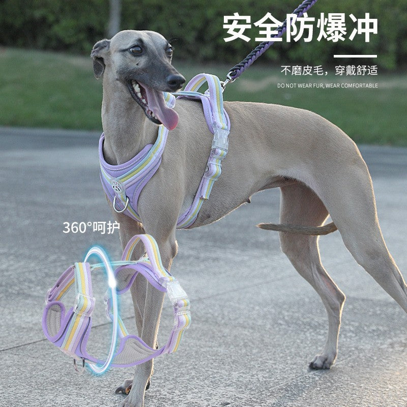 6c081837-b4d9-420b-a777-7b8a599bfb86