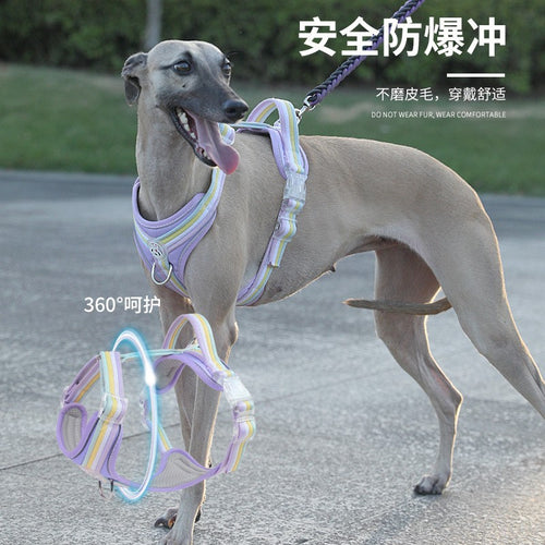 6c081837-b4d9-420b-a777-7b8a599bfb86