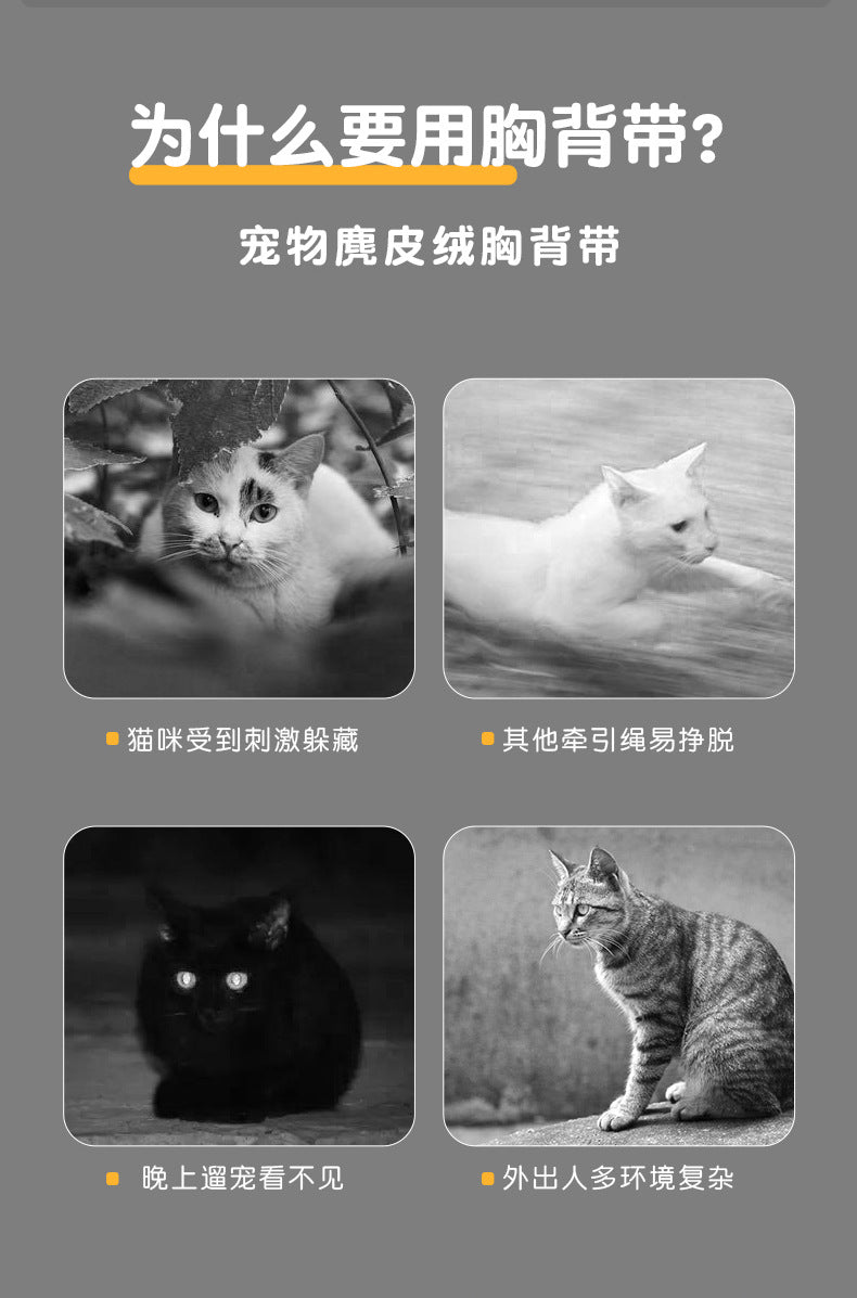 9dbef8b6-7ceb-42ca-9660-b435d3e6ef2c