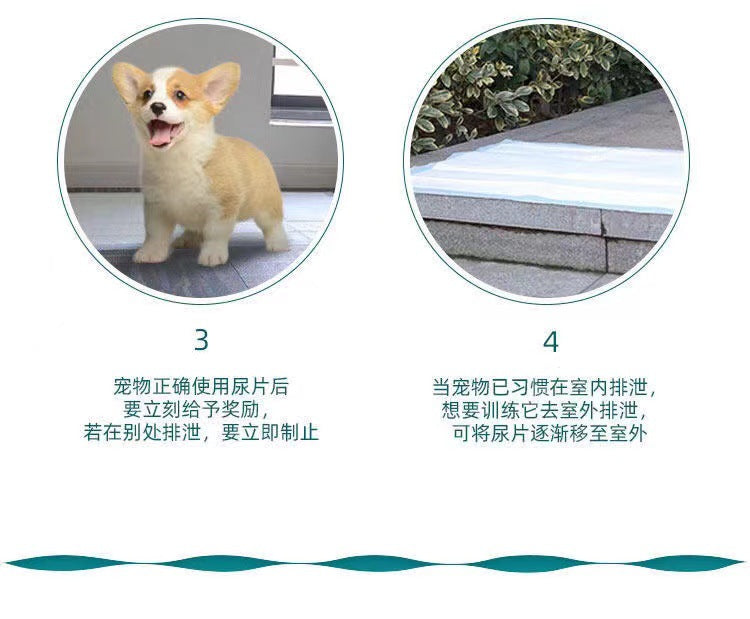 1232f4b6-fa6a-49f9-9f23-88c0df73ab95