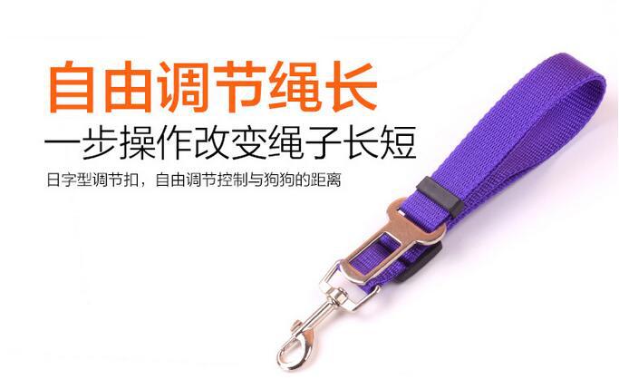 20731a01-191c-4c12-8a47-1f02cb44e999