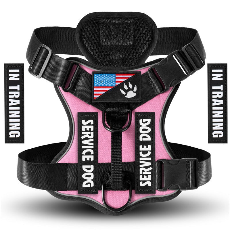 b60ed9f7-e92c-4f8e-9bea-f52281662b29