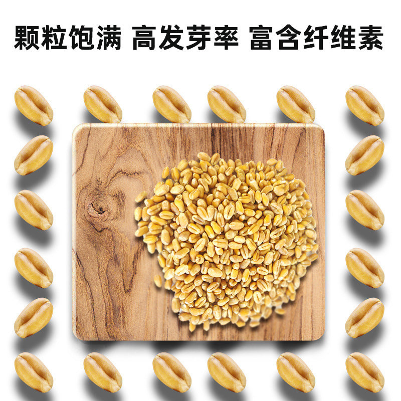 dab860a8-b9b9-4894-b795-e914ae764765