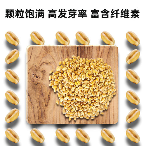 dab860a8-b9b9-4894-b795-e914ae764765