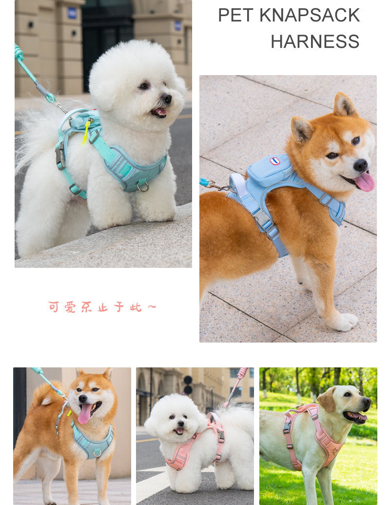 eb97f965-9e87-4510-9ddf-07a281618da4