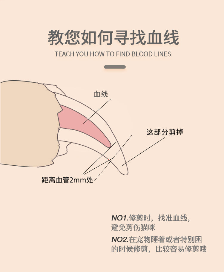 1d7c014e-8da8-4e6c-a71e-17a1f019b0f9
