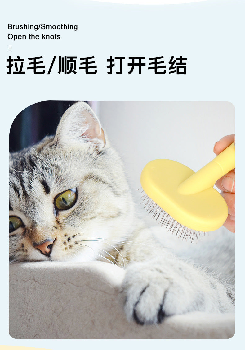 d892247d-4705-4c1b-a94a-830c6f616c92