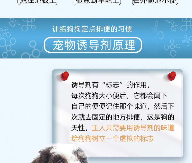 8d36985f-3279-40cb-96ad-203f2f3b5804