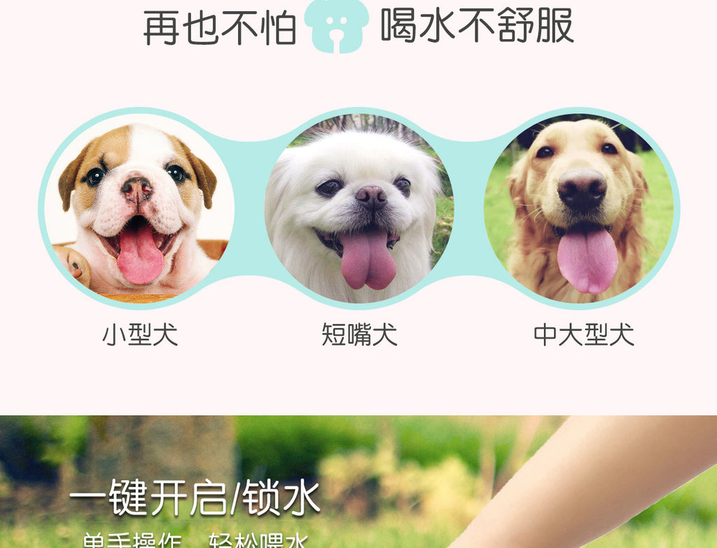 c0739a99-d32a-44c9-b420-69dc1031a64e