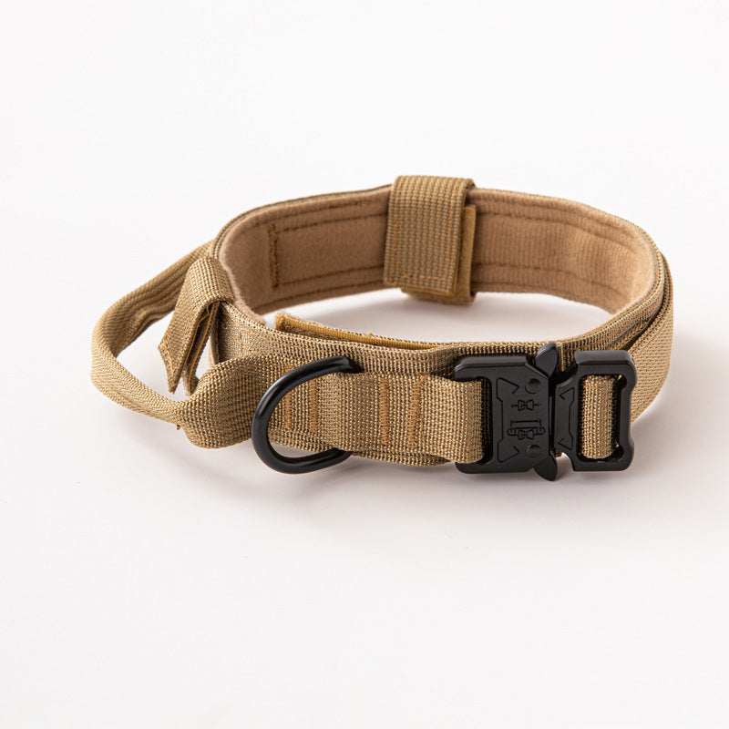 65f0ac8f-072c-461d-b163-4d24c65a6595