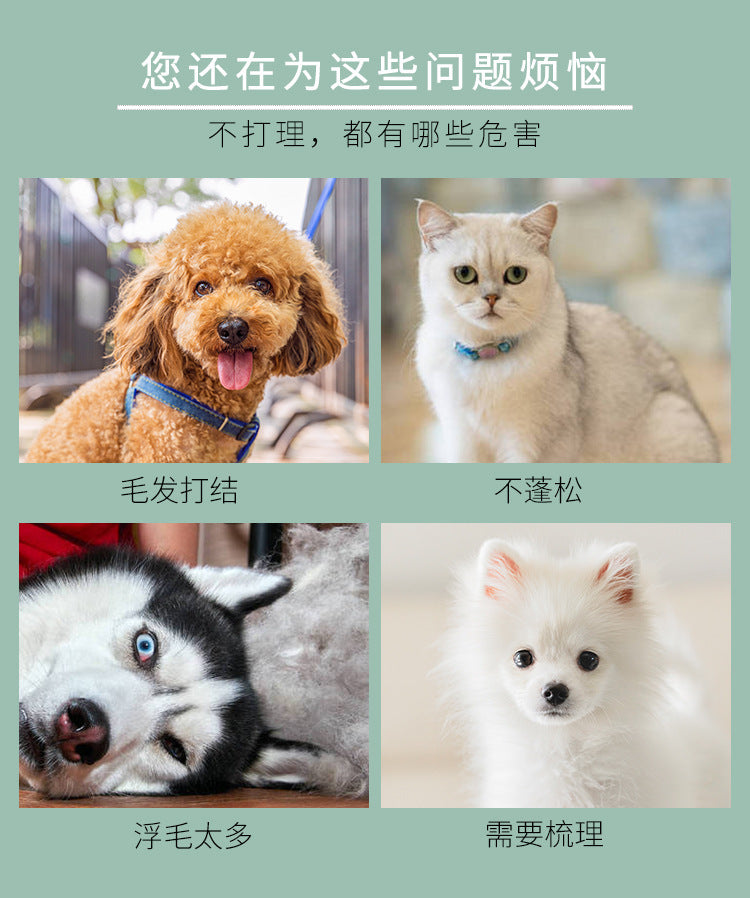 b133b3c1-f3af-404e-bbd1-4aa435ab3886