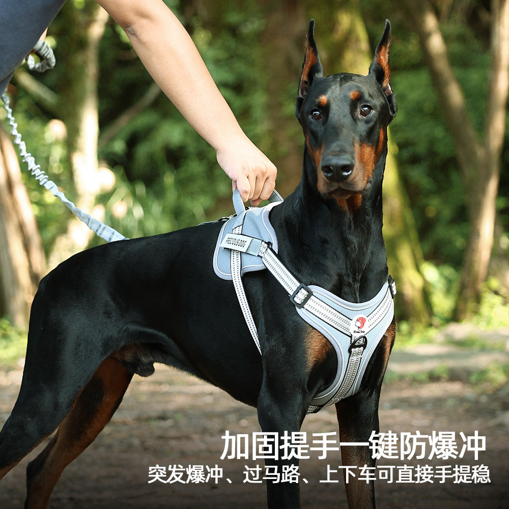 a35f5598-0a73-4883-affc-d5bc4407ee5b